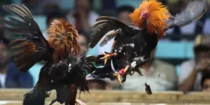 Thời gian tham gia trận đấu