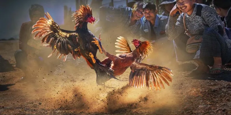 Tìm hiểu về chiến kế trước thềm diễn ra trận đấu để tăng tỷ lệ thắng