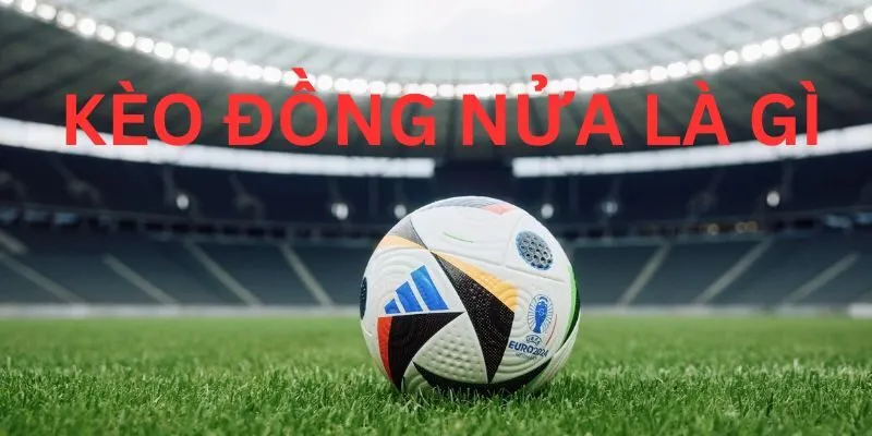 Cập nhật kèo thường xuyên