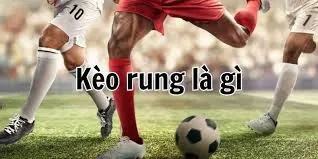 Một số kinh nghiệm đặt cược kèo rung hiệu quả nhất