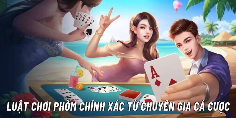 Hiểu rõ các thuật ngữ này sẽ giúp bạn tự tin hơn khi tham gia Phỏm tại AB77!
