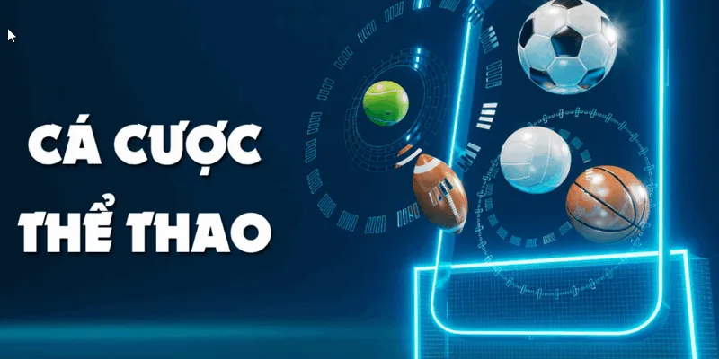 Mẹo đặt cược Tỷ lệ cá cược hôm nay hiệu quả